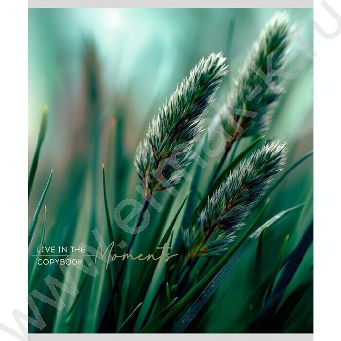 Тетрадь  48л клетка "Растительная тема" ассорти | Фото 2