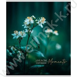 Тетрадь  48л клетка "Растительная тема" ассорти NEW | Фото 3