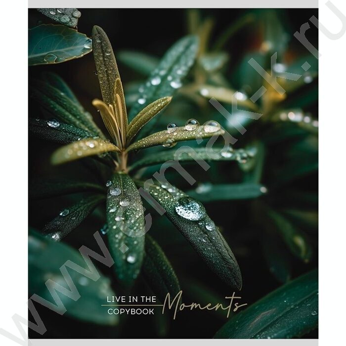 Тетрадь  48л клетка "Растительная тема" ассорти | Фото 4