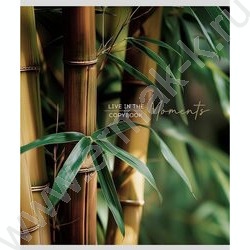 Тетрадь  48л клетка "Растительная тема" ассорти NEW | Фото 5