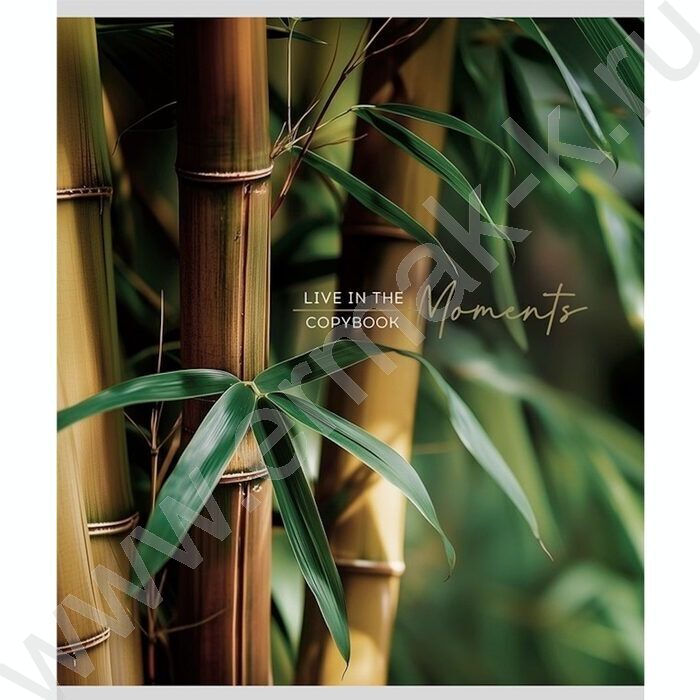 Тетрадь  48л клетка "Растительная тема" ассорти | Фото 5