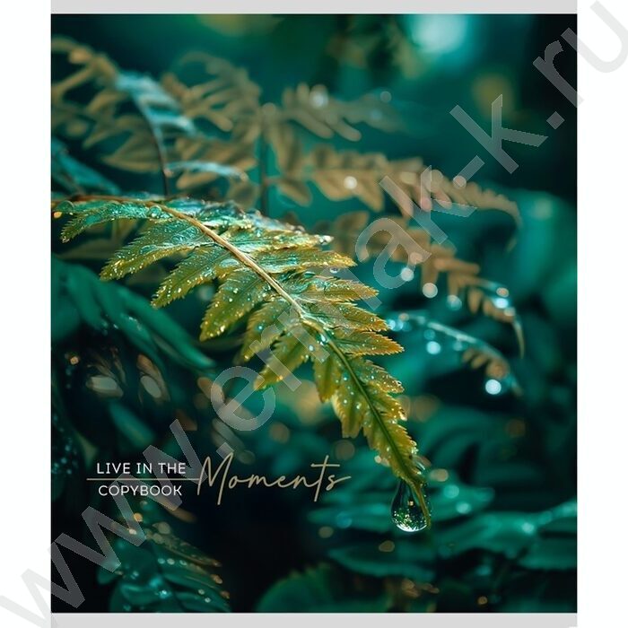 Тетрадь  48л клетка "Растительная тема" ассорти | Фото 6