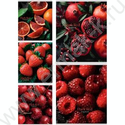 Тетрадь  48л клетка "Фрукты и ягоды-3" ассорти NEW | Фото 1