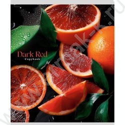 Тетрадь  48л клетка "Фрукты и ягоды-3" ассорти NEW | Фото 2