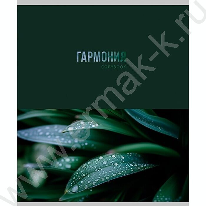 Тетрадь  48л клетка "Красота природы" ассорти | Фото 2