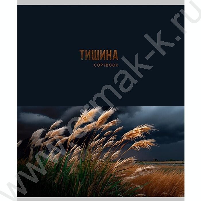 Тетрадь  48л клетка "Красота природы" ассорти | Фото 5