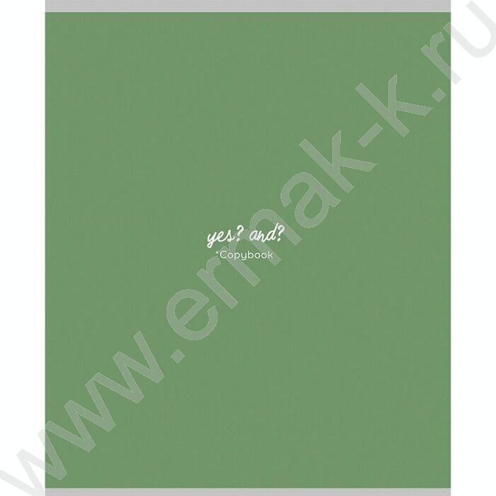 Тетрадь  48л клетка "Краткость" ассорти | Фото 5