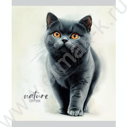 Тетрадь  48л линейка "Красивые коты-1" ассорти NEW | Фото 3