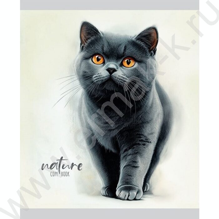 Тетрадь  48л линейка "Красивые коты-1" ассорти | Фото 3