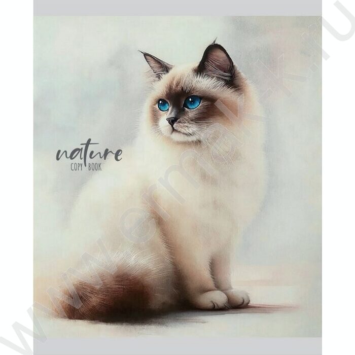 Тетрадь  48л линейка "Красивые коты-1" ассорти | Фото 4