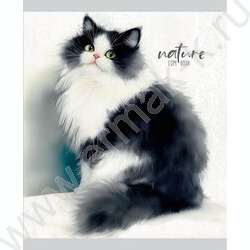 Тетрадь  48л линейка "Красивые коты-1" ассорти NEW | Фото 6