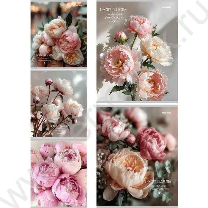 Тетрадь  48л клетка "Нежные пионы-3" ассорти | Фото 1