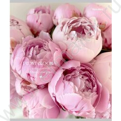 Тетрадь  48л клетка "Нежные пионы-3" ассорти NEW | Фото 4