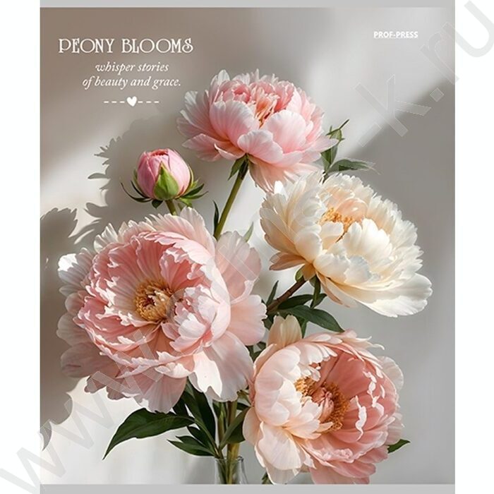 Тетрадь  48л клетка "Нежные пионы-3" ассорти | Фото 5