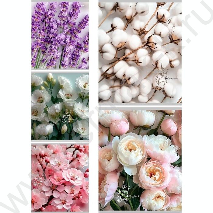 Тетрадь  48л линейка "Нежные цветы-21" ассорти | Фото 1