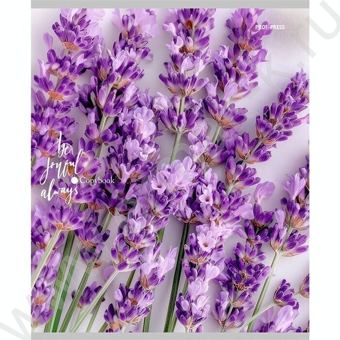 Тетрадь  48л линейка "Нежные цветы-21" ассорти | Фото 2