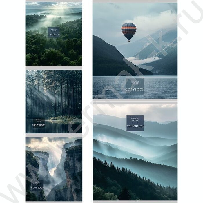 Тетрадь  48л клетка "Cold nature" /лен/ ассорти | Фото 1