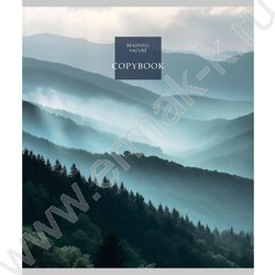 Тетрадь  48л клетка "Cold nature" /лен/ ассорти NEW | Фото 3