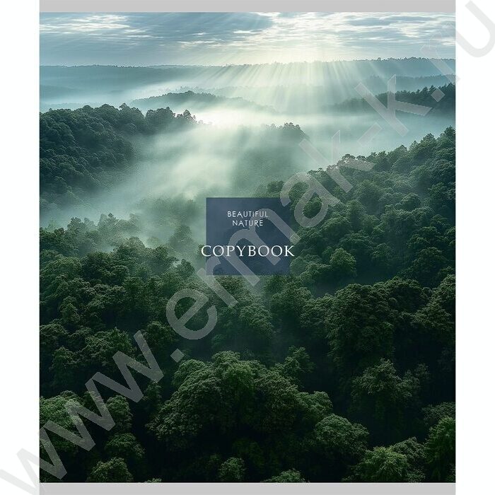 Тетрадь  48л клетка "Cold nature" /лен/ ассорти | Фото 4