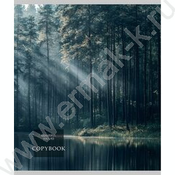 Тетрадь  48л клетка "Cold nature" /лен/ ассорти NEW | Фото 5