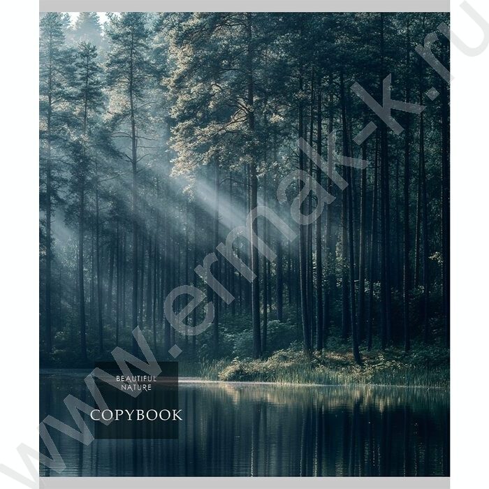 Тетрадь  48л клетка "Cold nature" /лен/ ассорти | Фото 5