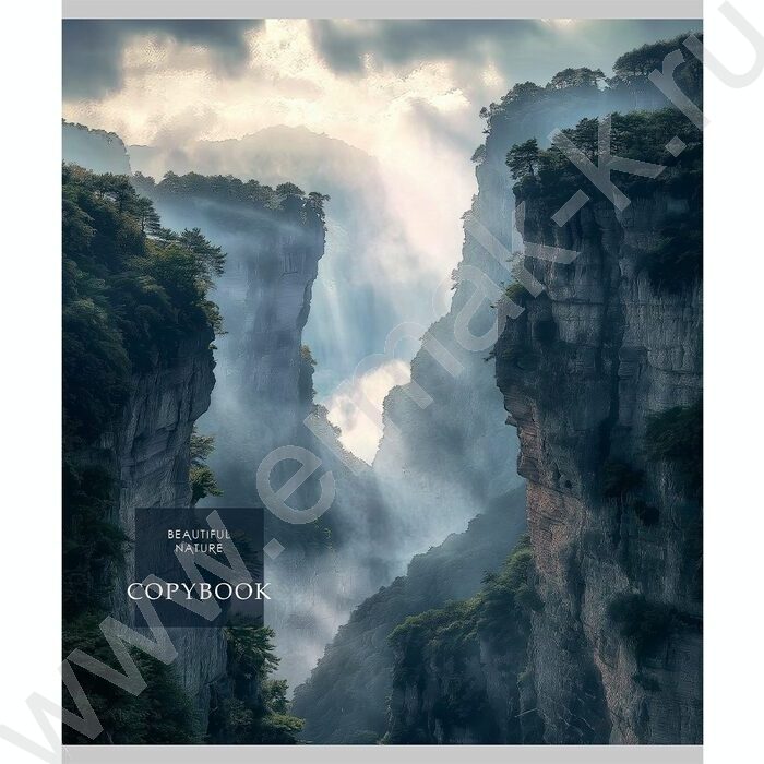 Тетрадь  48л клетка "Cold nature" /лен/ ассорти | Фото 6