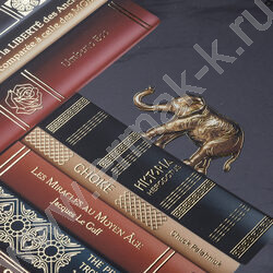 Тетрадь  96л А4 клетка "Золотые страницы" /мат.лам./3D фольга/ ассорти NEW | Фото 5