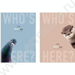 Тетрадь  96л А4 клетка/спираль/перфорация на отрыв "Кто здесь?" /мат.ламин./ 2вида NEW | Фото 1