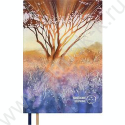 Ежедневник н/дат А5 160л Escalada.#АФФИРМАЦИИ.АНАСТАСИЯ ПЕТРЯЕВА.Свет сквозь /мягкий переплёт,ис NEW | Фото 2