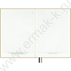 Ежедневник н/дат А5 160л Escalada.#АФФИРМАЦИИ.АНАСТАСИЯ ПЕТРЯЕВА.Свет сквозь /мягкий переплёт,ис NEW | Фото 6