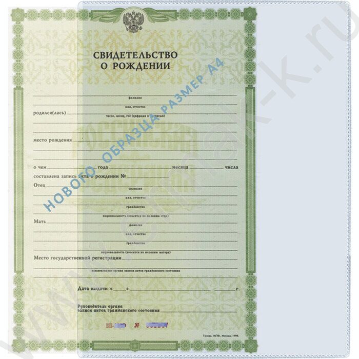 Карман д//документов А4 и св-в, 222*305мм /прозрачный | Фото 2