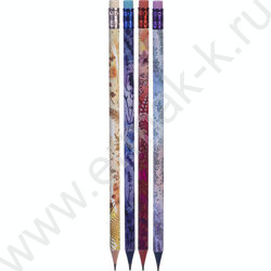 Карандаш ч/гр с ластиком HB "Darwin" круглый, заточен, ассорти /туба NEW | Фото 1