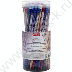 Карандаш ч/гр с ластиком HB "Darwin" круглый, заточен, ассорти /туба NEW | Фото 2