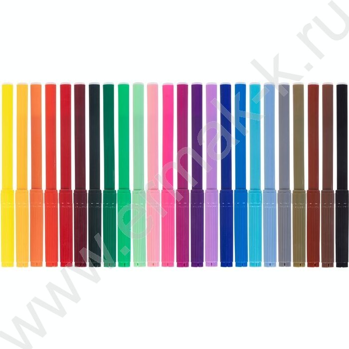 Фломастеры  24цв Colora  /карт. короб. с европодвесом | Фото 3
