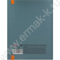 Дневник 1-4кл. /тв.обл./выб.лак/резинка "Хмурый котик" NEW | Фото 7