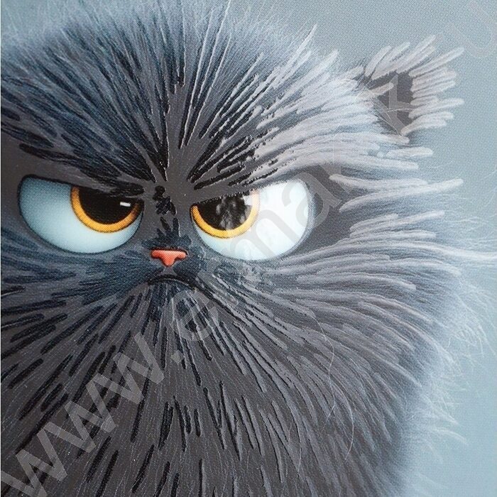 Дневник 1-4кл. /тв.обл./выб.лак/резинка "Хмурый котик" | Фото 8