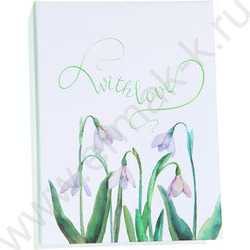 Фотоальбом /100фот./ 10*15 ПП карм. NEW | Фото 2