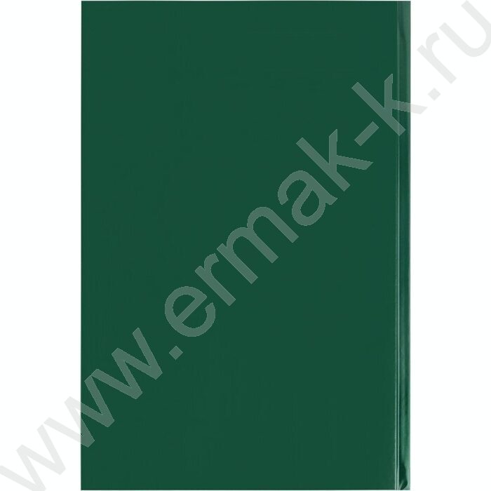 Книга Учёта  96л клетка б/вин Зеленый | Фото 4
