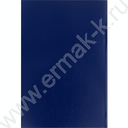 Книга Учёта  96л клетка б/вин Синий NEW | Фото 4