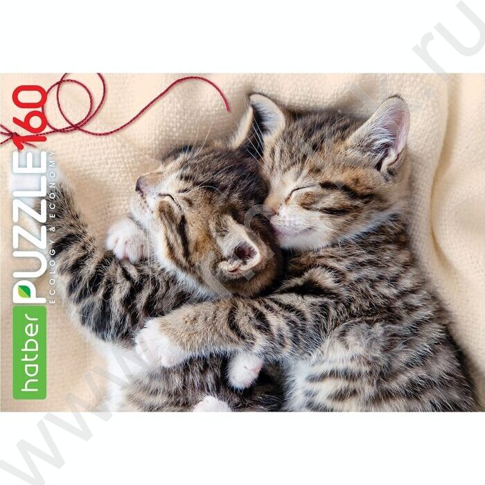 Пазлы  160 Мяу-Котики | Фото 2