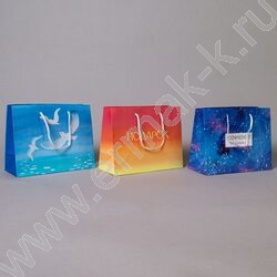 Пакет подарочный бумажный 23*18см Общий микс NEW | Фото 2