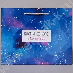 Пакет подарочный бумажный 23*18см Общий микс NEW | Фото 3