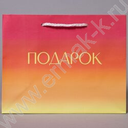 Пакет подарочный бумажный 23*18см Общий микс NEW | Фото 5