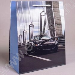 Пакет подарочный бумажный 26*32см Мужской микс NEW | Фото 3