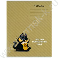 Тетрадь  12л линейка "Герои с характером" /выборочный  УФ-лак/ ассорти NEW | Фото 2