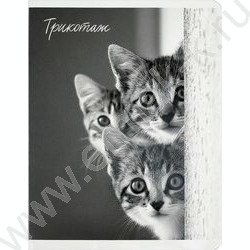 Тетрадь  48л клетка "Монохромные коты" /выб.ТВИН-лак/ ассорти NEW | Фото 2