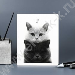 Тетрадь  48л клетка "Монохромные коты" /выб.ТВИН-лак/ ассорти NEW | Фото 7