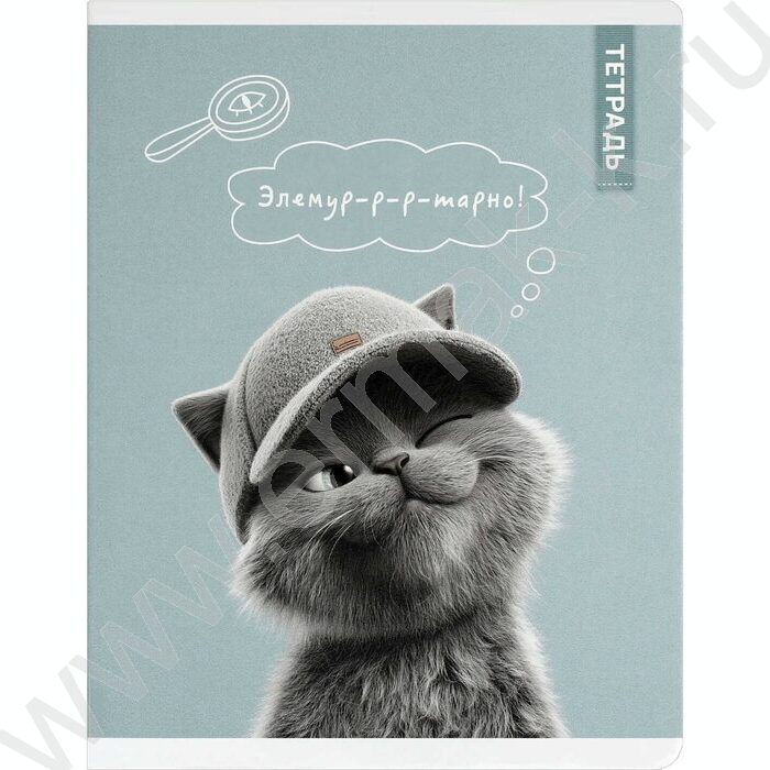 Тетрадь  48л клетка "Коты в школе" /выб.ТВИН-лак/ ассорти NEW | Фото 2