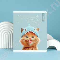 Тетрадь  48л клетка "Коты в школе" /выб.ТВИН-лак/ ассорти NEW | Фото 8