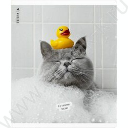Тетрадь  48л клетка "Кот с уткой" /выб.ТВИН-лак/ ассорти NEW | Фото 2